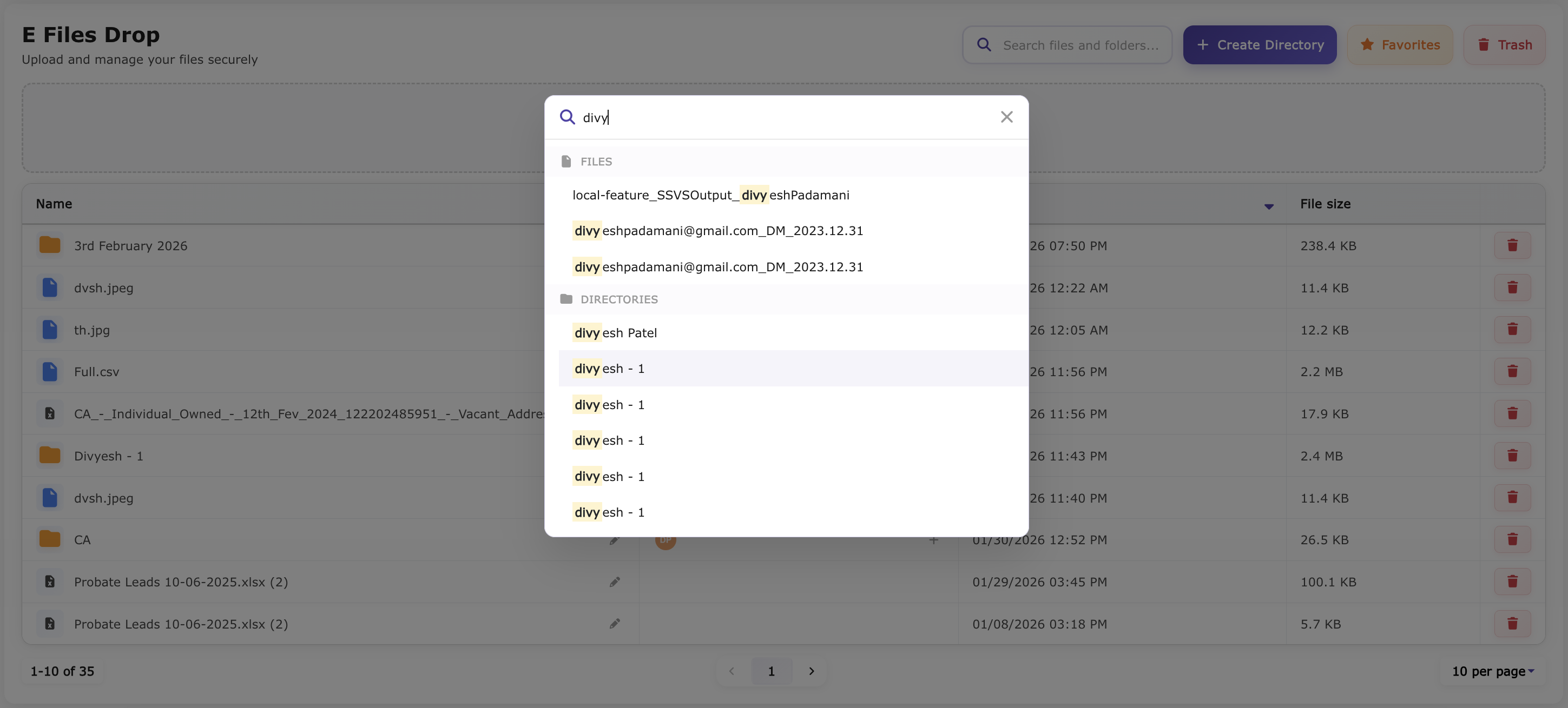 E-File Drops Search Files